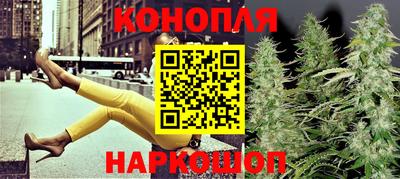 прущие крисы Будённовск